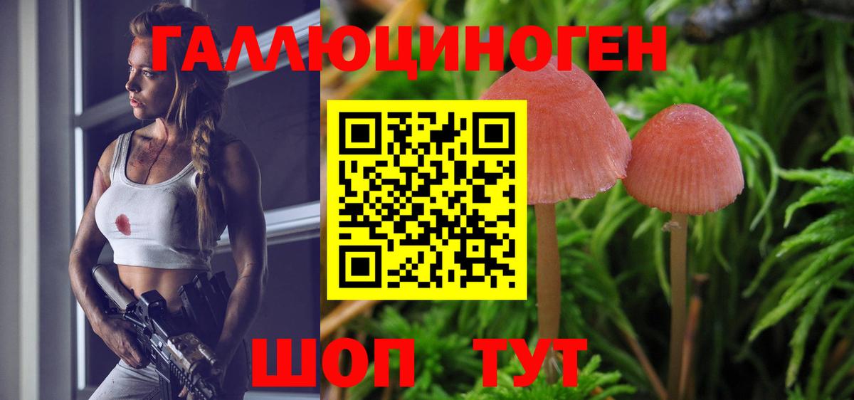 Псилоцибиновые грибы MAGIC MUSHROOMS Ефремов