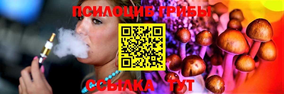 Галлюциногенные грибы прущие грибы  Вход с VPN  Ефремов 