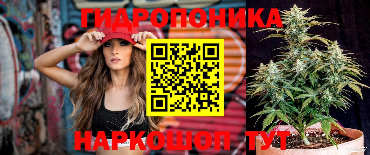 Бошки Шишки THC 21% Ефремов